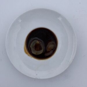 Img 8396