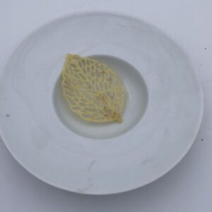 Img 8408