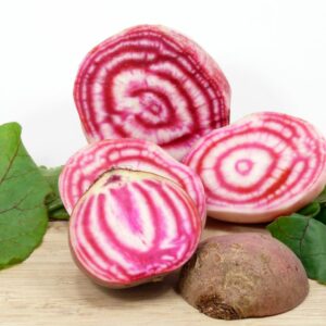 Chioggia Bete