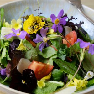 Wildkraeutersalat.1 1
