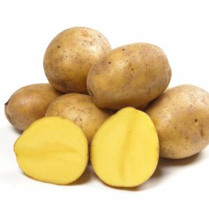 Kartoffeln Sorte Gala Festkochend Deutschland