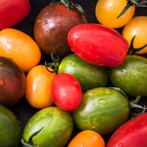 Tomatenvielfalt